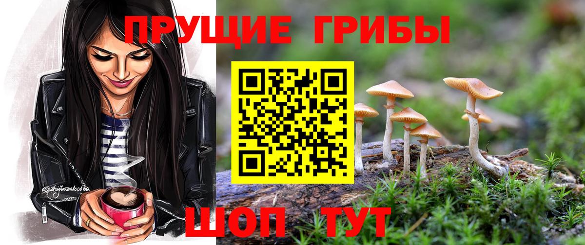 Галлюциногенные грибы ЛСД Белореченск