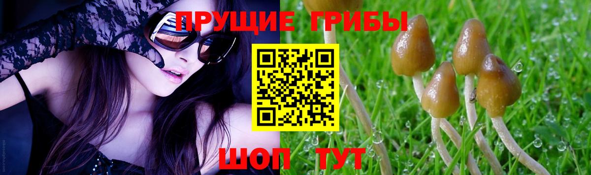 купить закладку  Вход с VPN  Белореченск  Галлюциногенные грибы ЛСД 