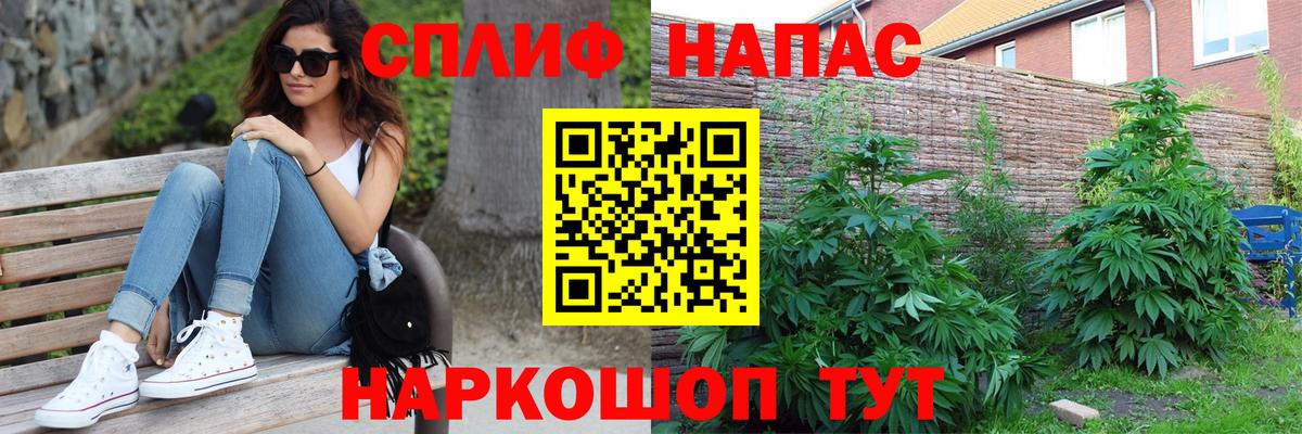 Белореченск  Канабис тримм  Конопля Bruce Banner  Бошки Шишки семена  Вход с VPN 